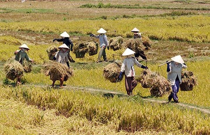 Hotspot Matrix: Đòn bẩy tiếp cận học sinh và phụ huynh cho chuyên gia tư vấn du học