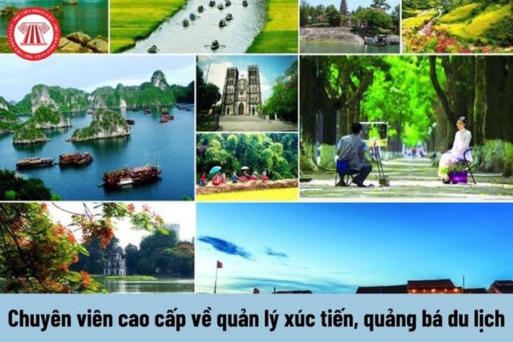 Hotspot Matrix: Trải nghiệm quản lý nền tảng video ngắn toàn diện