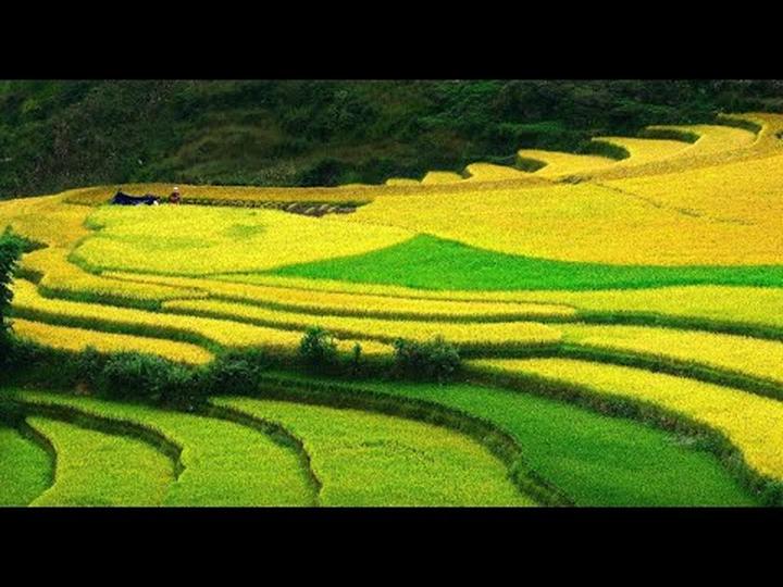 Hotspot Matrix: Biến Chân dung 