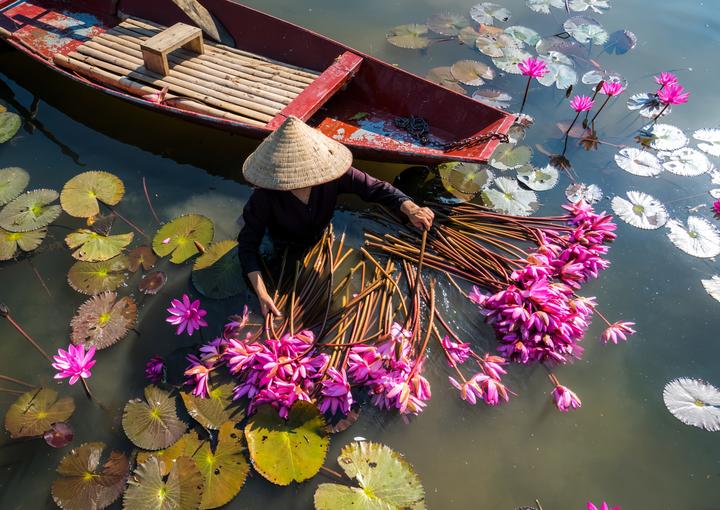 Học tiếng Anh và tìm thấy tình yêu: Câu chuyện của chị An và anh David