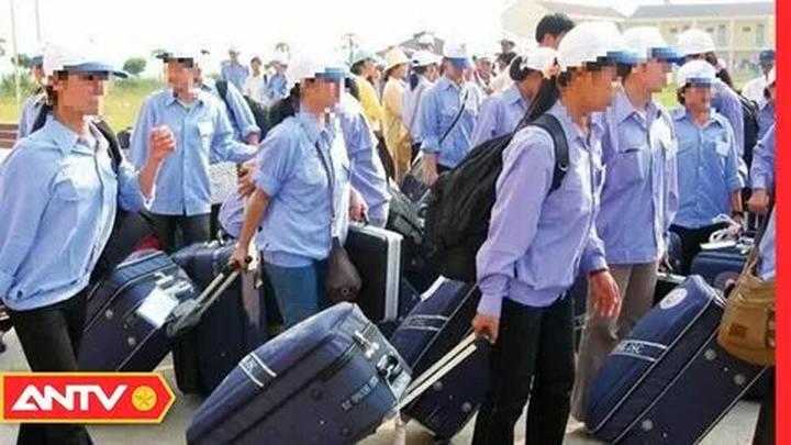 Xu hướng 4 kiểu áo sơ mi dìm dáng, xỉn: Hotspot Matrix tiết lộ bí quyết video viral