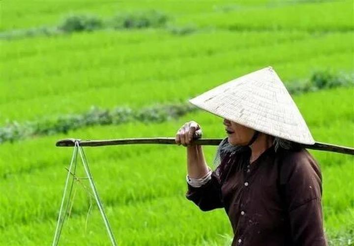 Quản lý nhà hàng thời 4.0: Thu hút khách hàng bằng video ngắn và Hotspot Matrix