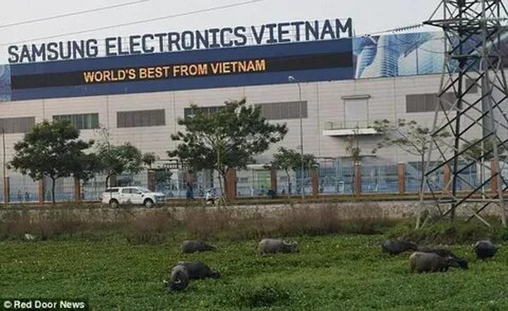 Hotspot Matrix: Đòn bẩy thành công cho Startup của bạn